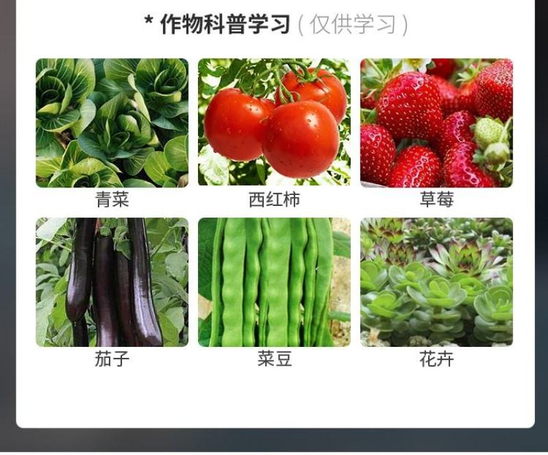 烟慕钻10%异丙威蚜虫白粉虱蓟马杀虫烟剂烟雾剂