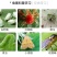 烟慕钻10%异丙威蚜虫白粉虱蓟马杀虫烟剂烟雾剂