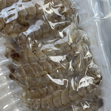 皮皮虾肉虾姑肉爬虾肉虾婆肉琵琶虾肉包装