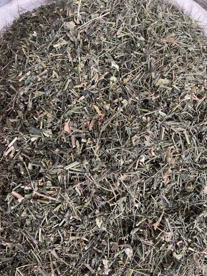 穿心莲中药材穿心连带叶全草一见喜苦胆草四方莲