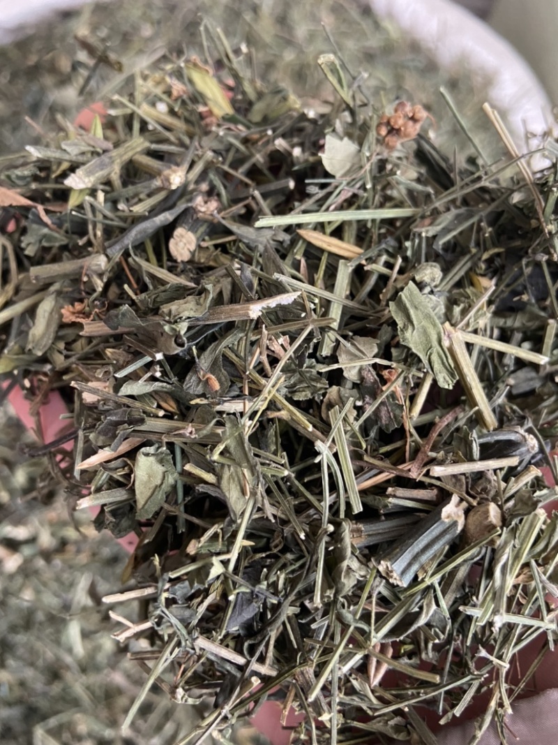 穿心莲中药材穿心连带叶全草一见喜苦胆草四方莲