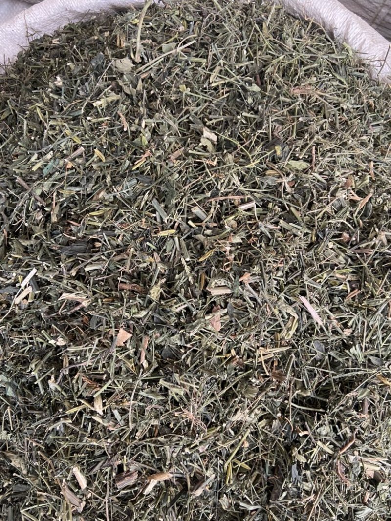 穿心莲中药材穿心连带叶全草一见喜苦胆草四方莲