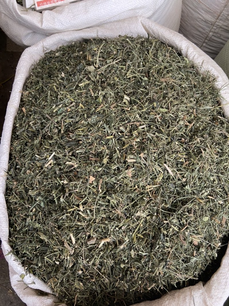 穿心莲中药材穿心连带叶全草一见喜苦胆草四方莲