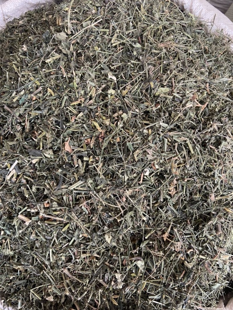 穿心莲中药材穿心连带叶全草一见喜苦胆草四方莲