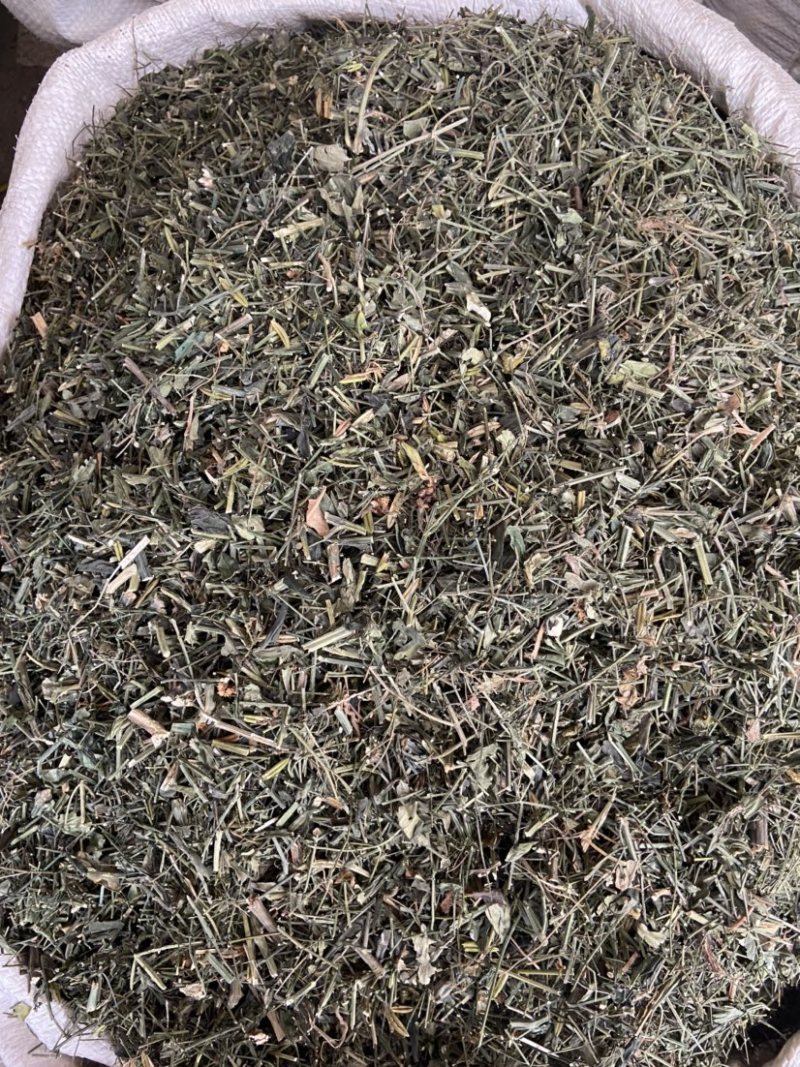 穿心莲中药材穿心连带叶全草一见喜苦胆草四方莲