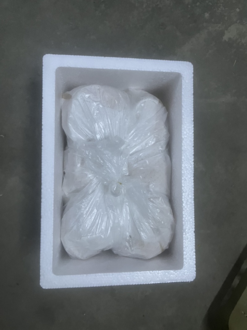 优质鲜品金耳