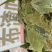 野生布渣叶破布叶烂布叶薢宝叶正宗布楂叶