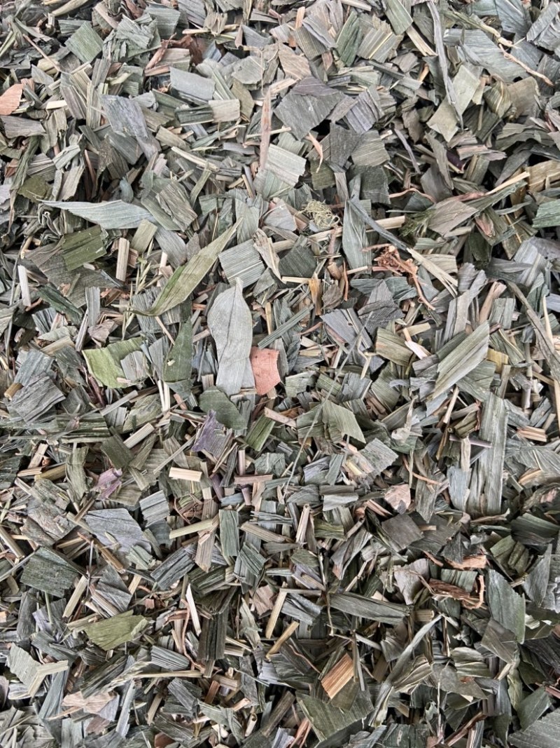 新货淡竹叶新鲜野生淡竹叶薏苡茶中药材淡竹叶茶金竹叶