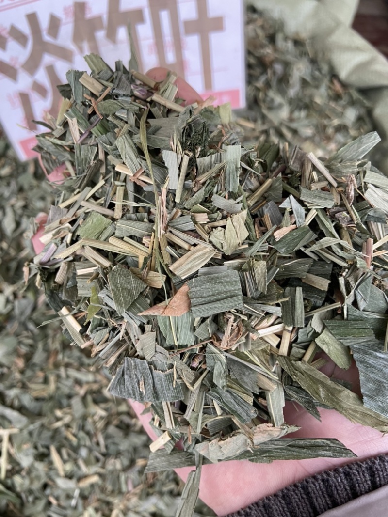 新货淡竹叶新鲜野生淡竹叶薏苡茶中药材淡竹叶茶金竹叶