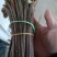 大量批发贵州省内蕨菜(一天5到10吨），需要的老板联系