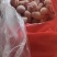 精品土鸡腰