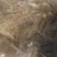 各种淡水鱼，虾，如，鲫鱼，鳊鱼，鲈鱼，昂次，草鱼，青鱼等