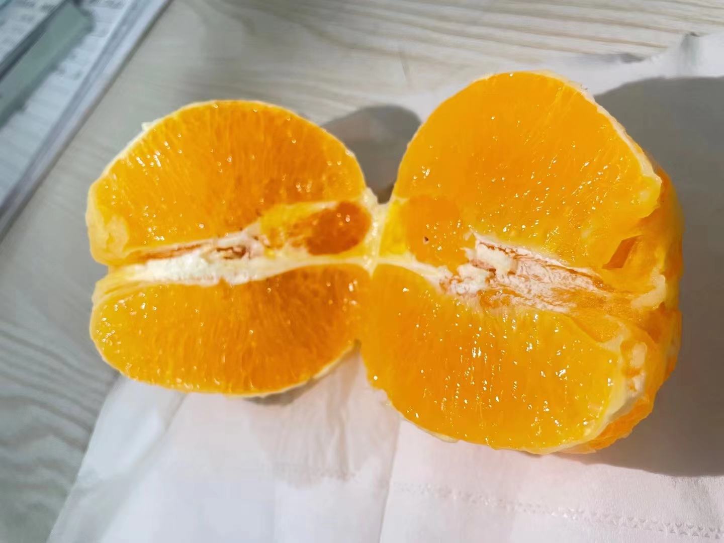 新鲜切开的秭归夏橙，果肉呈橙黄色，汁水丰富