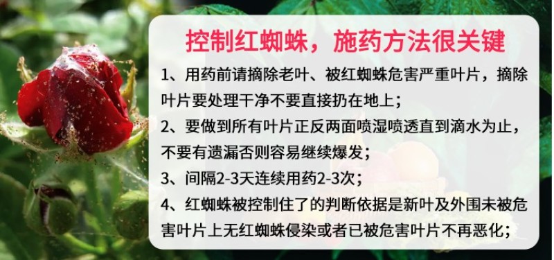 爱卡螨43%联苯肼酯茶黄螨二斑叶螨红蜘蛛杀虫剂