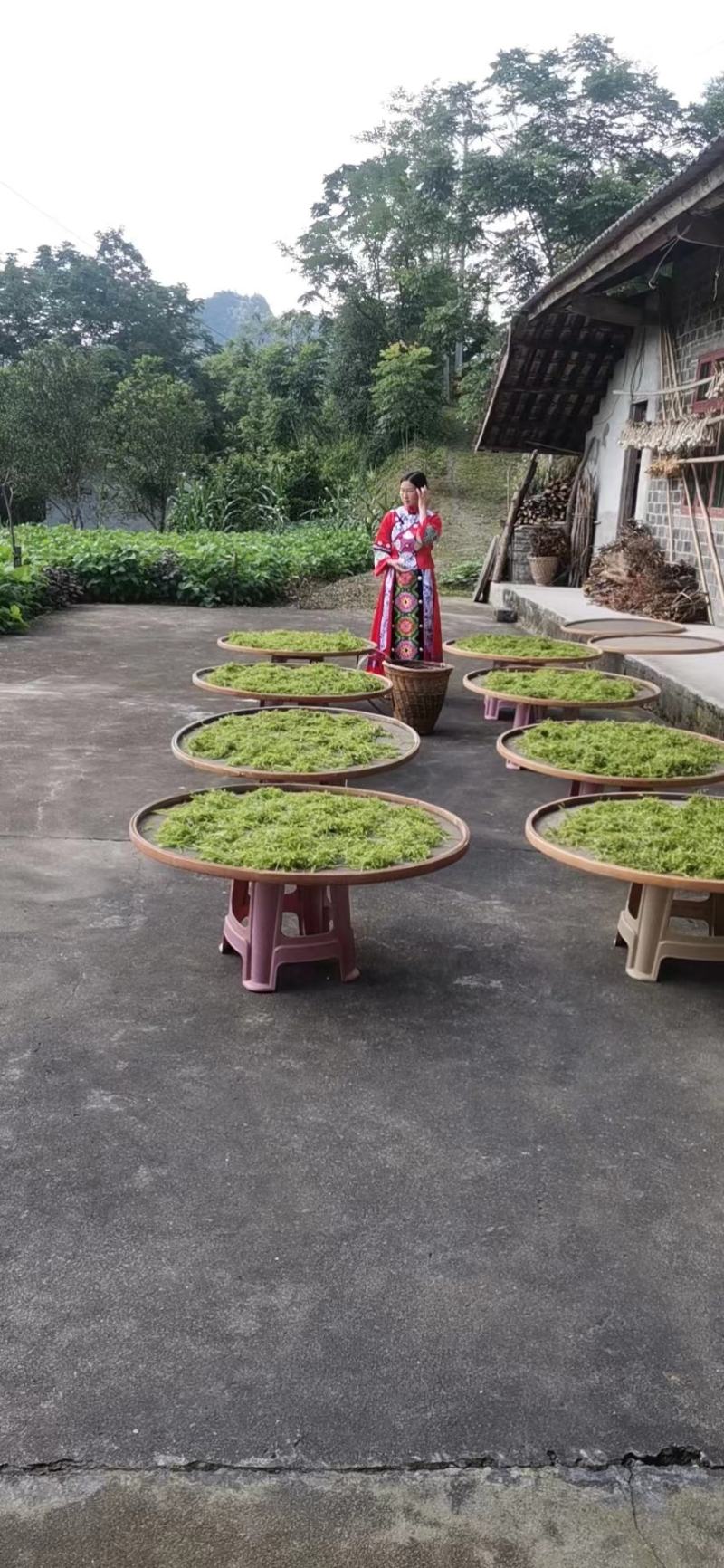 【精品】正宗特级藤茶藤茶养生茶自产自销产地直发
