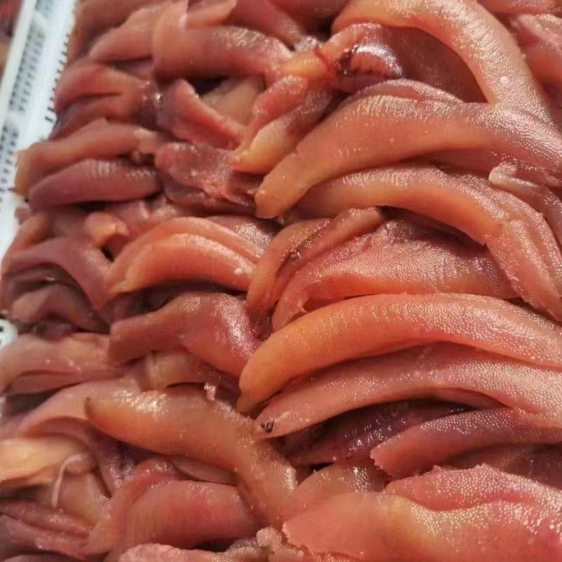 鲱鱼籽