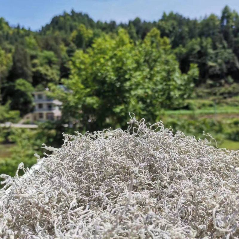 正品藤茶优选藤茶养生茶品质有保障量大从优