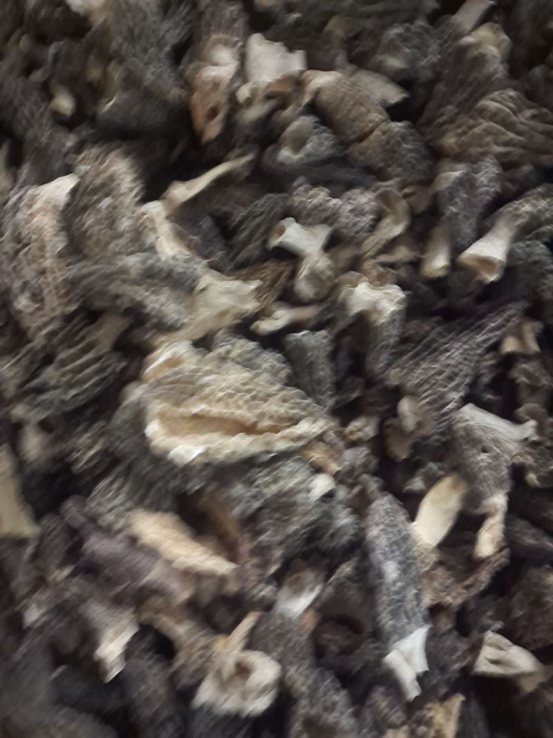 宁夏菌业大量批发羊肚菌全国各地破碎欢迎加入下单质量保