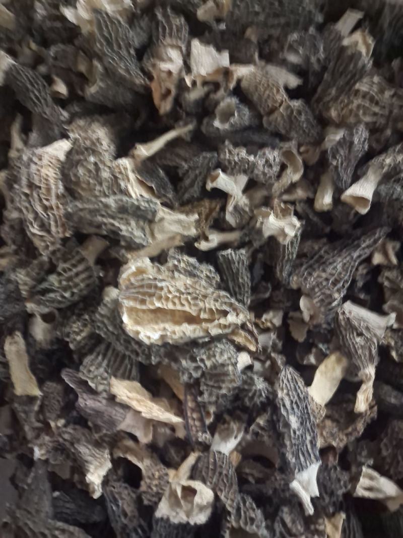 宁夏菌业大量批发羊肚菌全国各地破碎欢迎加入下单质量保