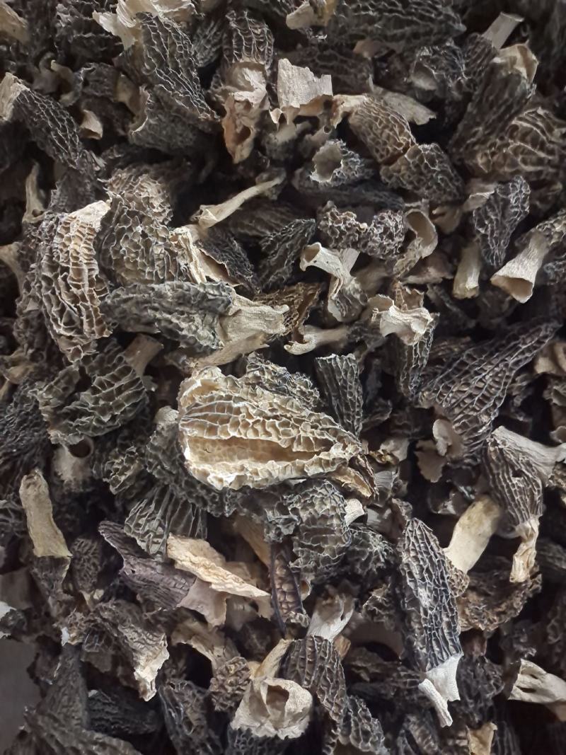 宁夏菌业大量批发羊肚菌全国各地破碎欢迎加入下单质量保