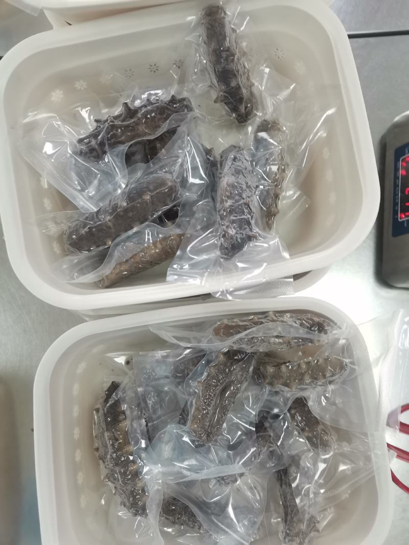 海参干参鲜食海参大连渤海湾刺身