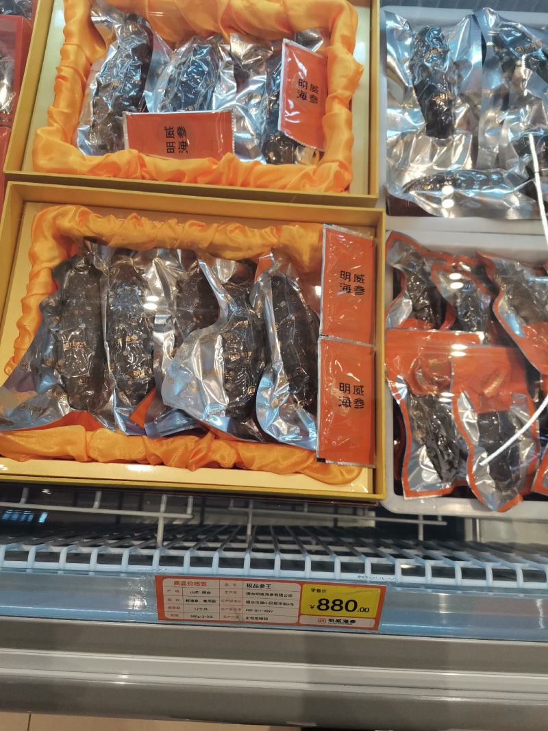 海参干参鲜食海参大连渤海湾刺身