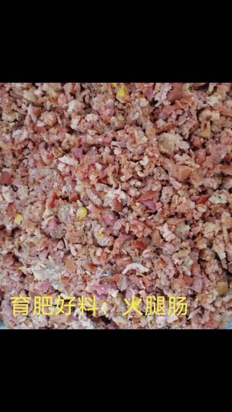 火腿肠