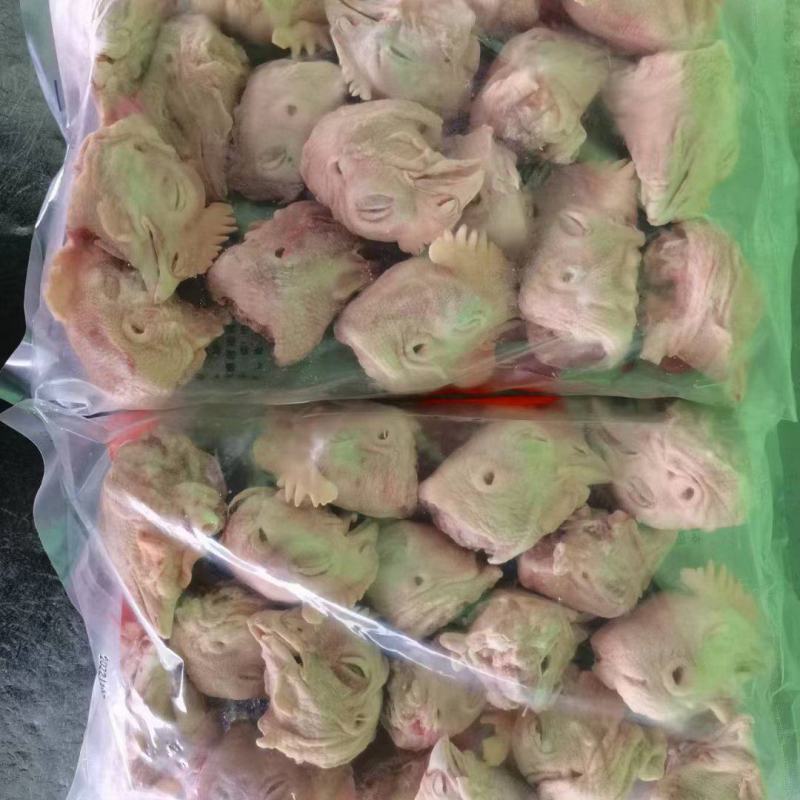 鸡头