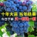 十年葡萄树。买一送一。当年种植当年结果包成活售后