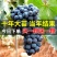 十年葡萄树。买一送一。当年种植当年结果包成活售后