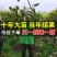 十年葡萄树。买一送一。当年种植当年结果包成活售后