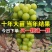 十年葡萄树。买一送一。当年种植当年结果包成活售后