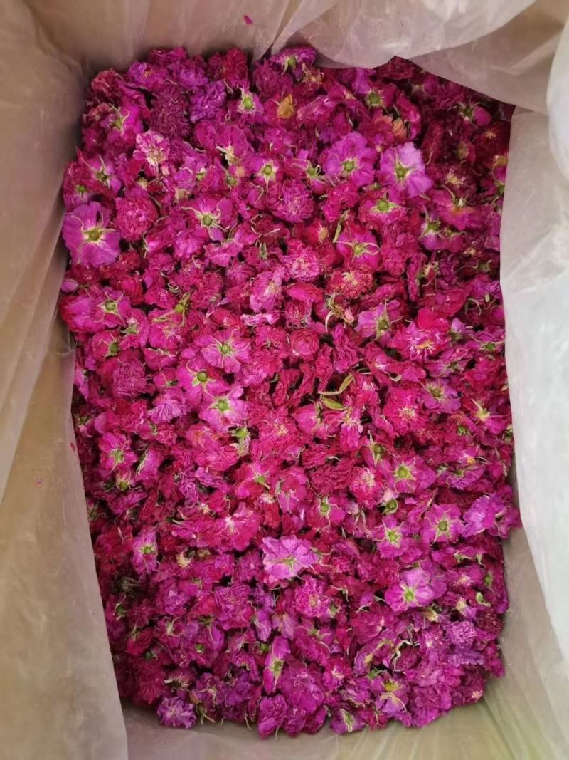 玫瑰花茶，金边玫瑰，平阴玫瑰，苦水玫瑰，玫瑰花冠