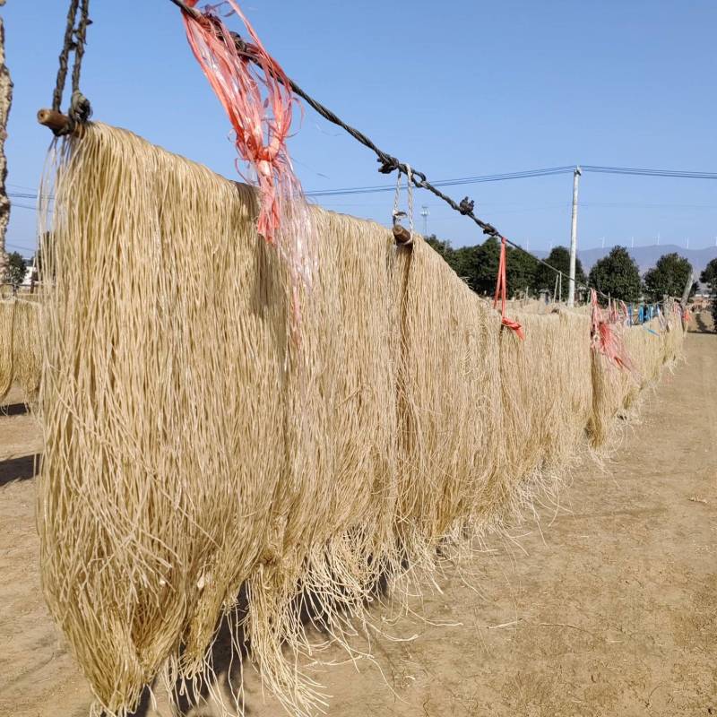 红薯粉条河南省洛阳伊川红薯基地加工纯红薯粉条