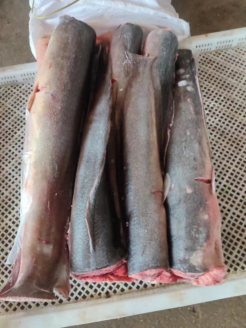 鲜冻埃及鱼，鲶鱼