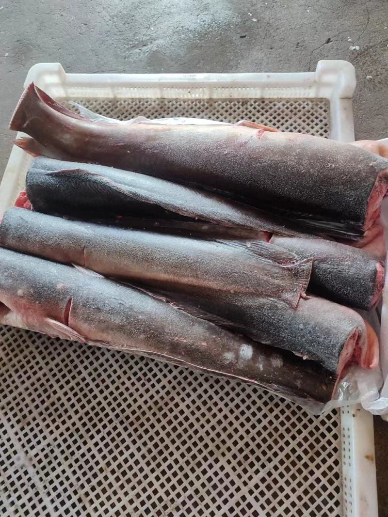 鲜冻埃及鱼，鲶鱼