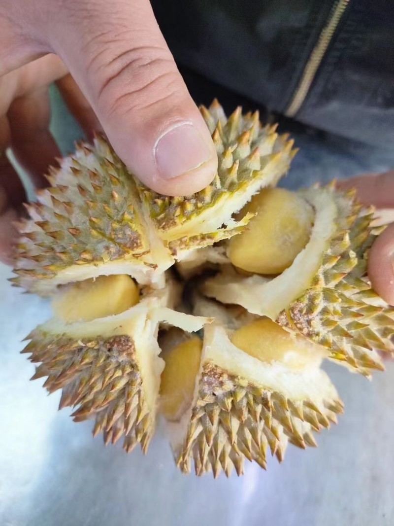 良牌，树熟液氮托罗尼，一手货源，质量三包，一件起发