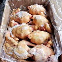 【包邮-19斤三黄鸡】批发19斤生鲜冷冻三黄鸡白条鸡