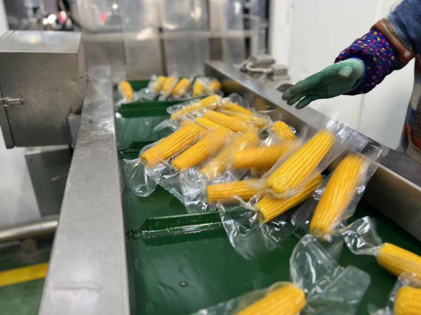 速冻甜玉米粒加工流程图