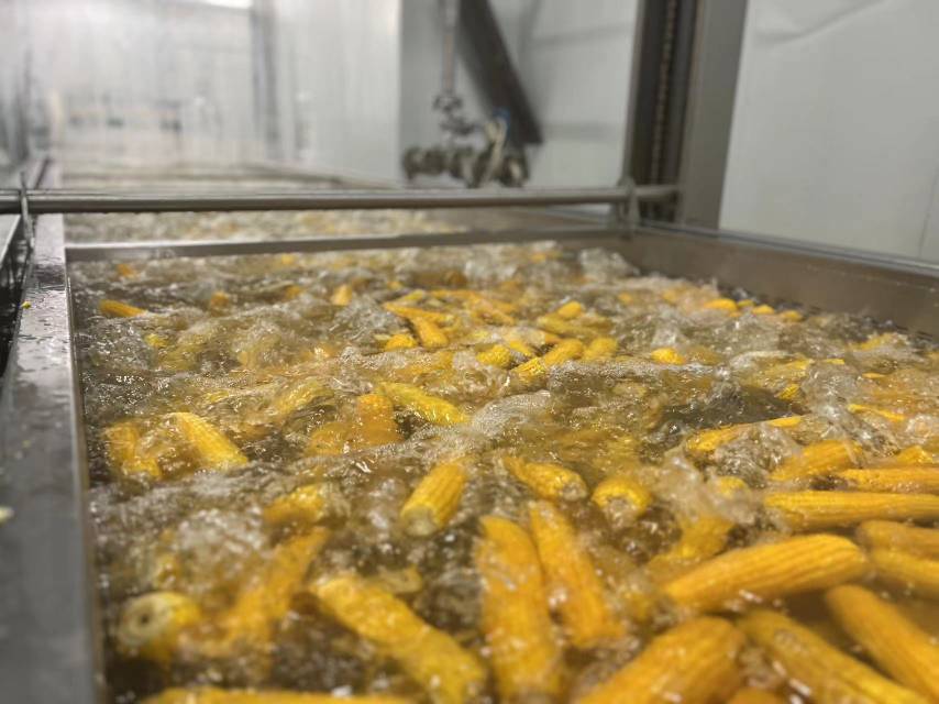 甜玉米粒处理过程