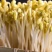 黄豆芽