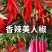 美人椒苗小米椒苗日交易额破万量大从优欢迎采购