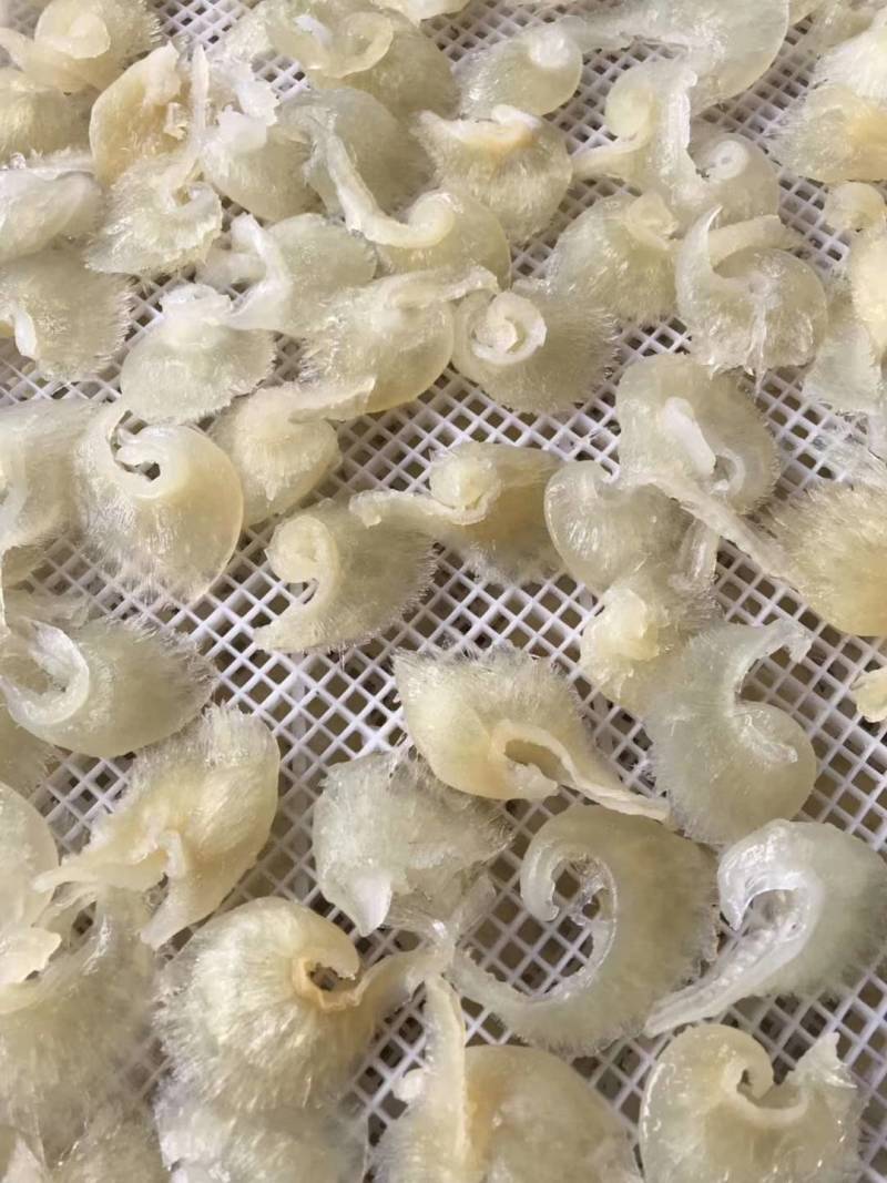 金汤，浓汤，鲍参翅肚，