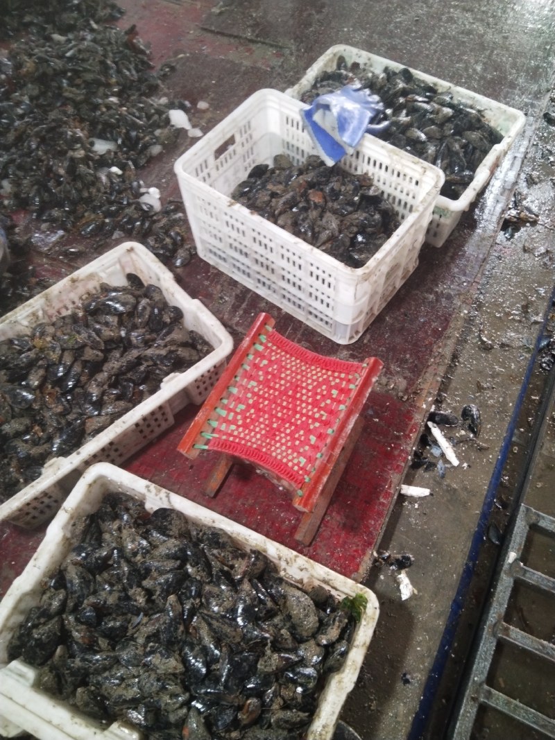 海虹