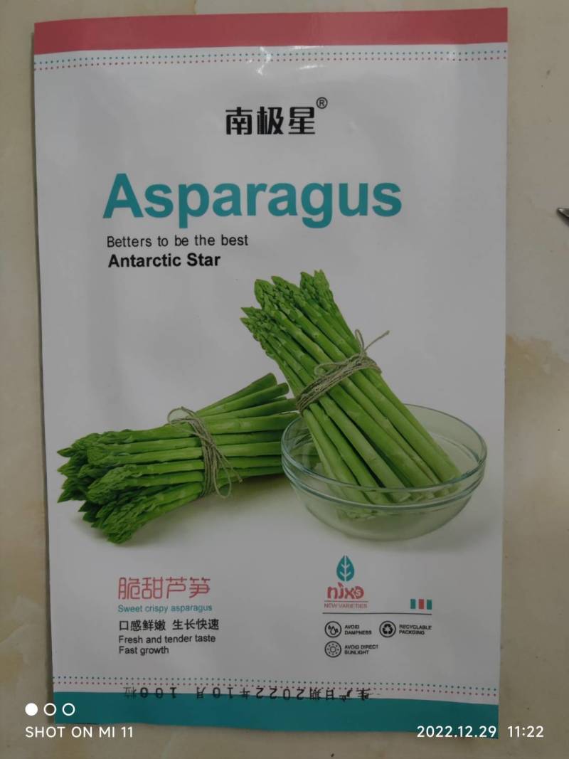 绿色芦笋种子紫色芦笋种子高产抗病散装袋装电商使用
