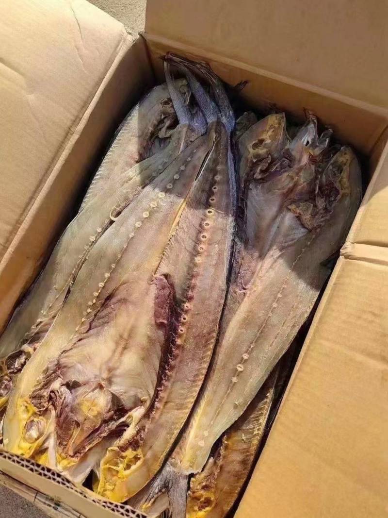 刀鲅鱼一款咸鱼，开背去内脏的，无乱刺，只有一根主刺蒸煎炸