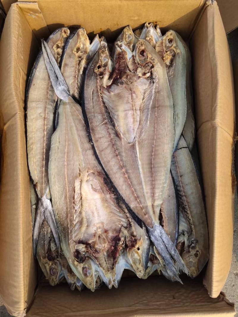 刀鲅鱼一款咸鱼，开背去内脏的，无乱刺，只有一根主刺蒸煎炸