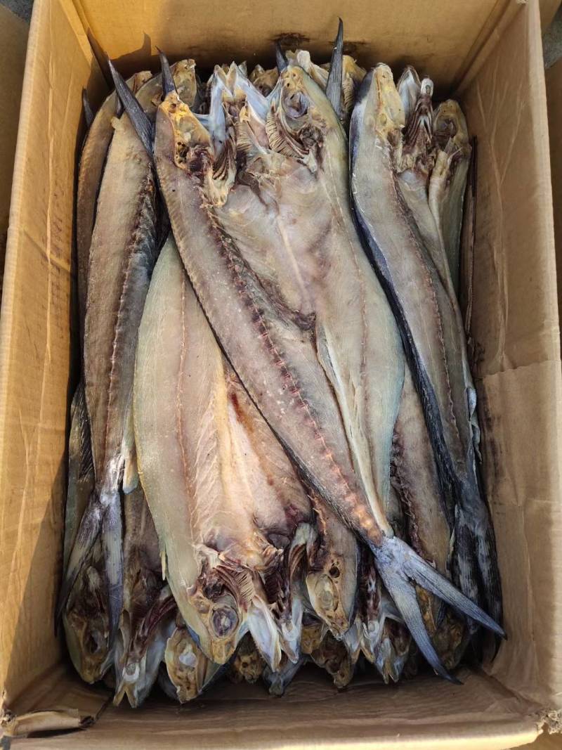 刀鲅鱼一款咸鱼，开背去内脏的，无乱刺，只有一根主刺蒸煎炸