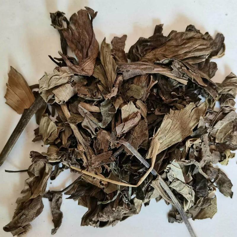 草乌叶干货鸡头草百步草中药材欢迎选购！
