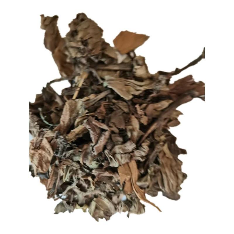 草乌叶干货鸡头草百步草中药材欢迎选购！